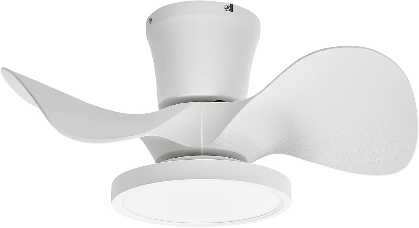 Quiet Ceiling Fan with LED Light 22 Inch Large