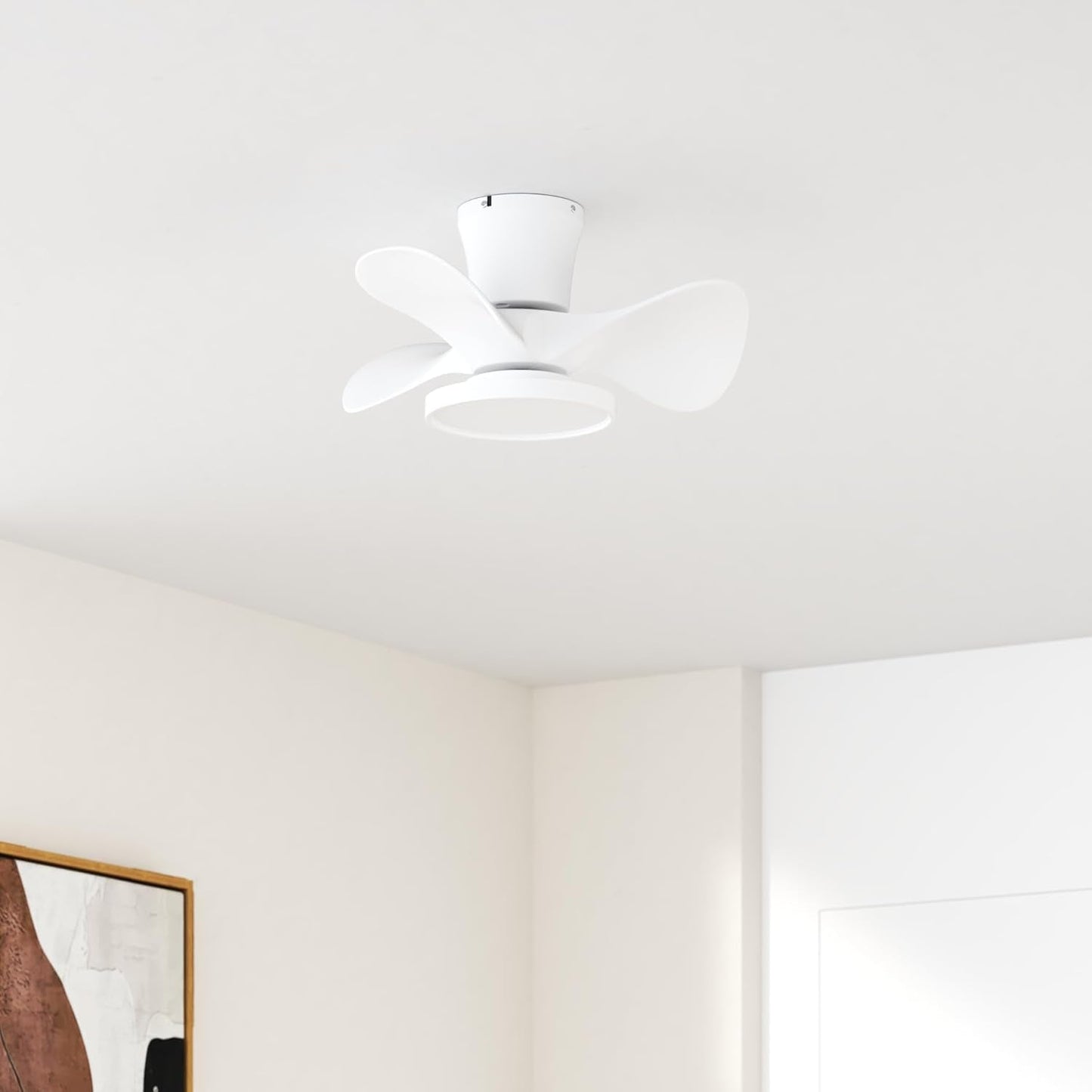 Quiet Ceiling Fan with LED Light 22 Inch Large