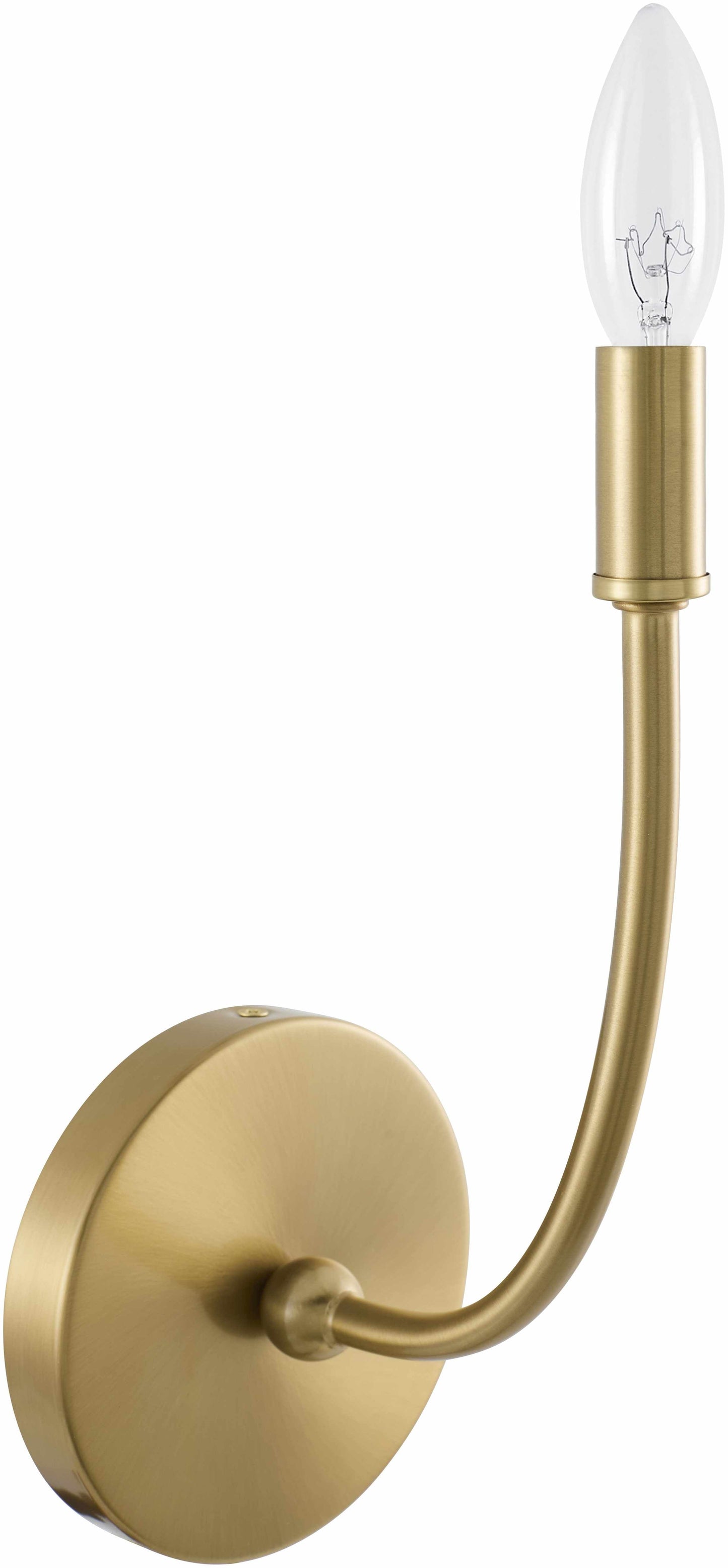 Pecineaga Wall Sconce-1