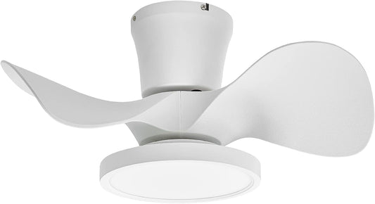 Quiet Ceiling Fan with LED Light 22 Inch Large